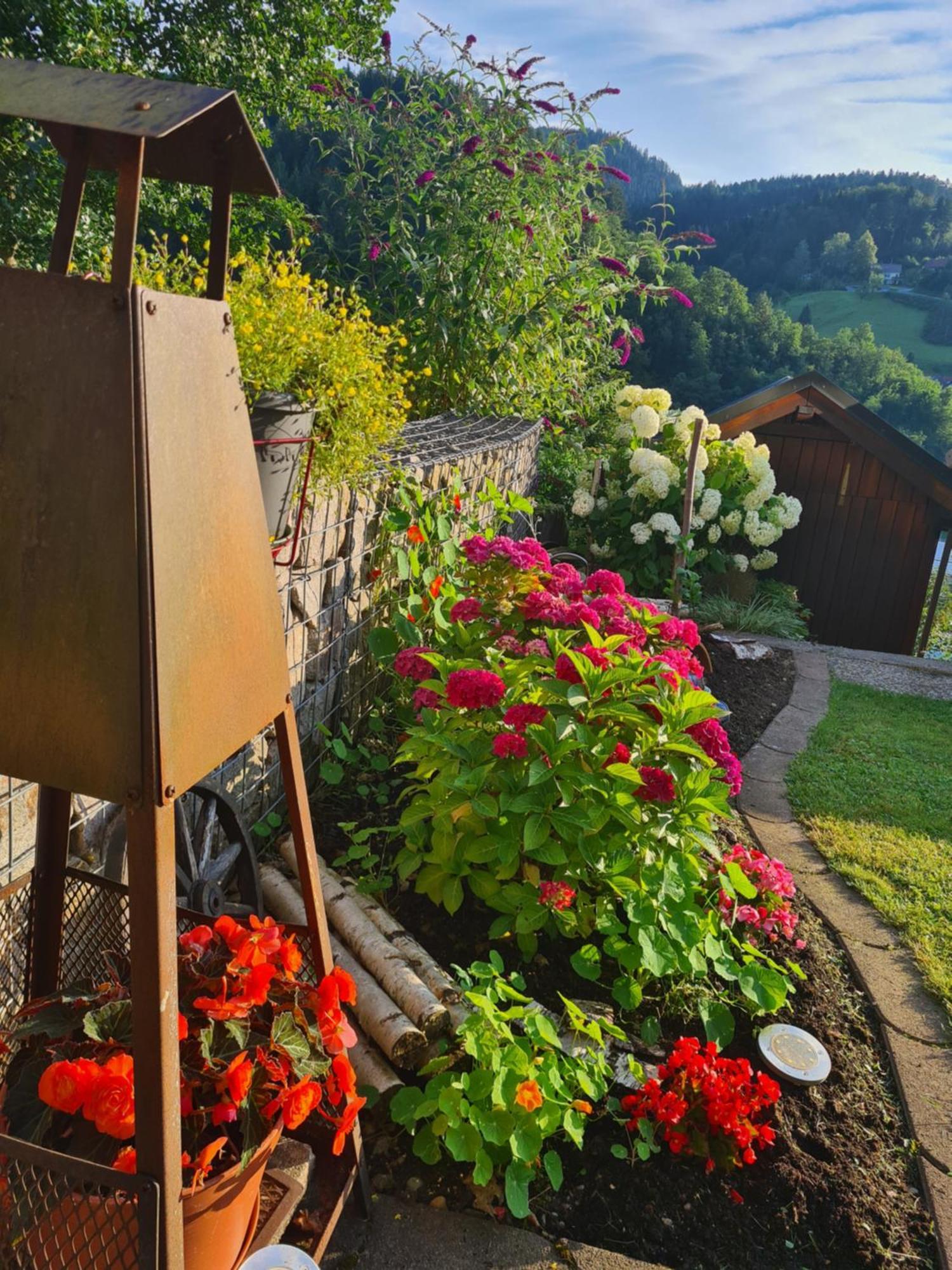 Ferienwohnung Schwarzwaldsteig Bad Peterstal-Griesbach Dış mekan fotoğraf