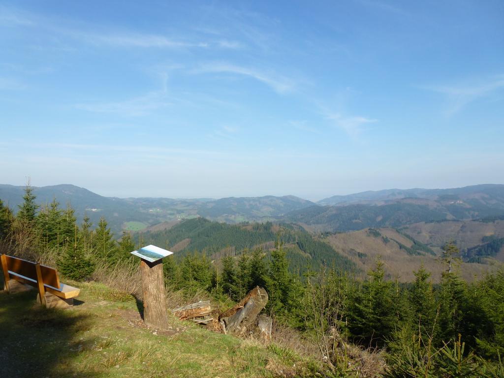 Ferienwohnung Schwarzwaldsteig Bad Peterstal-Griesbach Dış mekan fotoğraf