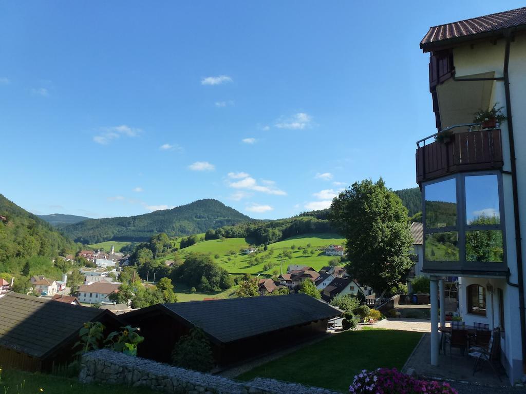 Ferienwohnung Schwarzwaldsteig Bad Peterstal-Griesbach Oda fotoğraf