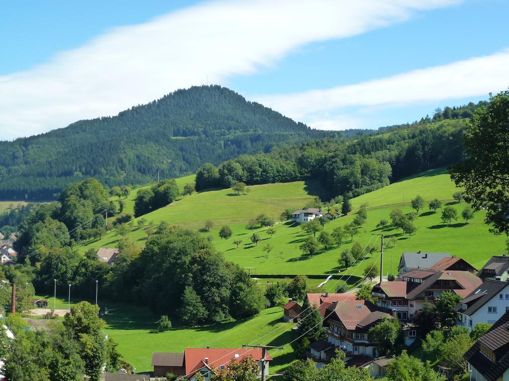 Ferienwohnung Schwarzwaldsteig Bad Peterstal-Griesbach Dış mekan fotoğraf